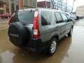 2005 Silver Moss Metallic Honda CR-V EX 4WD  photo #4