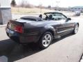 2007 Alloy Metallic Ford Mustang V6 Deluxe Convertible  photo #5
