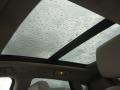 Platinum Ice Tricoat - SRX V6 Photo No. 12