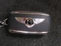 Moonbeam - Continental GT  Photo No. 29