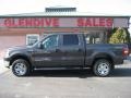 2007 Dark Stone Metallic Ford F150 XLT SuperCrew 4x4  photo #2