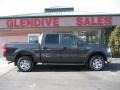 Dark Stone Metallic - F150 XLT SuperCrew 4x4 Photo No. 3