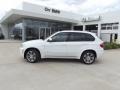 Alpine White - X5 xDrive50i Photo No. 5