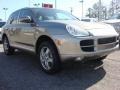 Jarama Beige Metallic - Cayenne S Photo No. 7