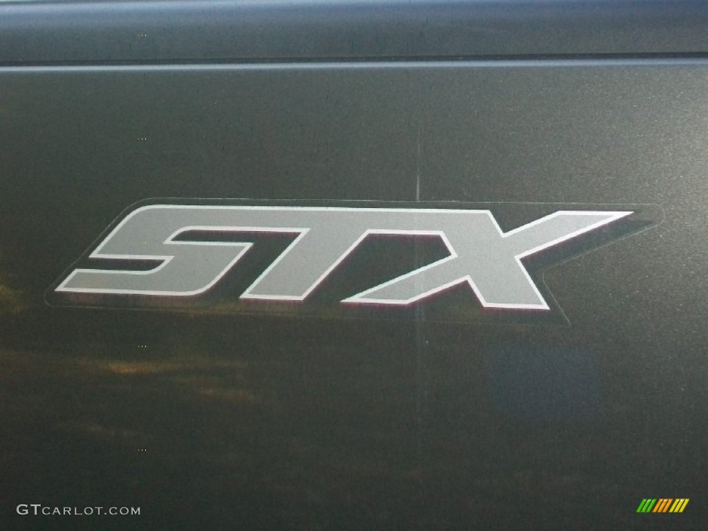 2004 Ford F150 STX SuperCab Marks and Logos Photos