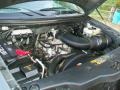 4.6 Liter SOHC 16V Triton V8 2004 Ford F150 STX SuperCab Engine
