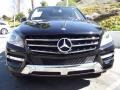 Black - ML 350 4Matic Photo No. 5