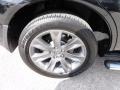 2010 Acura MDX Advance Wheel and Tire Photo