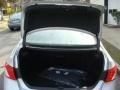 Tungsten Silver Pearl - ES 350 Photo No. 13