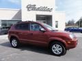 2009 Mesa Red Hyundai Tucson GLS  photo #7