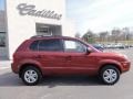 2009 Mesa Red Hyundai Tucson GLS  photo #8