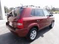 2009 Mesa Red Hyundai Tucson GLS  photo #9