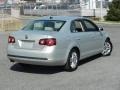 2010 White Gold Metallic Volkswagen Jetta TDI Sedan  photo #3