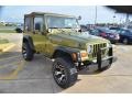 Citron Pearl 1997 Jeep Wrangler Sport 4x4 Exterior