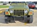 Citron Pearl - Wrangler Sport 4x4 Photo No. 9