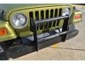 Citron Pearl - Wrangler Sport 4x4 Photo No. 20