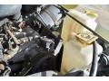 Citron Pearl - Wrangler Sport 4x4 Photo No. 22