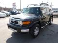 Black Diamond - FJ Cruiser 4WD Photo No. 3
