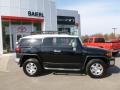 Black Diamond - FJ Cruiser 4WD Photo No. 8