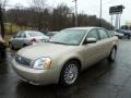 Light French Silk Metallic 2006 Mercury Montego Premier