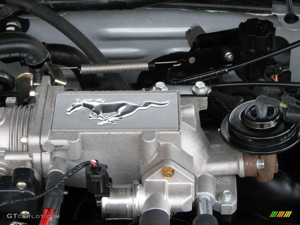 2004 Mustang GT Convertible - Silver Metallic / Medium Graphite photo #18