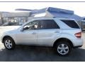 Iridium Silver Metallic - ML 500 4Matic Photo No. 10