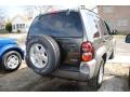 Dark Khaki Pearl - Liberty CRD Sport 4x4 Photo No. 3