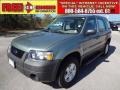 2007 Titanium Green Metallic Ford Escape XLS  photo #1