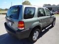 2007 Titanium Green Metallic Ford Escape XLS  photo #9