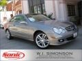 Pewter Metallic - CLK 350 Coupe Photo No. 1