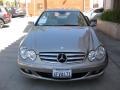 2008 Pewter Metallic Mercedes-Benz CLK 350 Coupe  photo #6