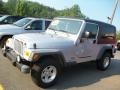 2004 Bright Silver Metallic Jeep Wrangler Sport 4x4  photo #2
