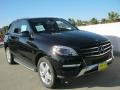 Black - ML 350 4Matic Photo No. 1