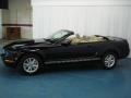 Black - Mustang V6 Deluxe Convertible Photo No. 6
