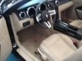 Black - Mustang V6 Deluxe Convertible Photo No. 11