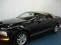 Black - Mustang V6 Deluxe Convertible Photo No. 34