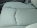 Light Platinum - SRX V6 Photo No. 21