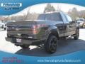 2012 Tuxedo Black Metallic Ford F150 FX4 SuperCab 4x4  photo #6