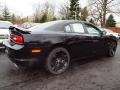 Pitch Black - Charger R/T Mopar '11 Photo No. 3