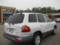 2004 Nordic White Hyundai Santa Fe GLS  photo #23