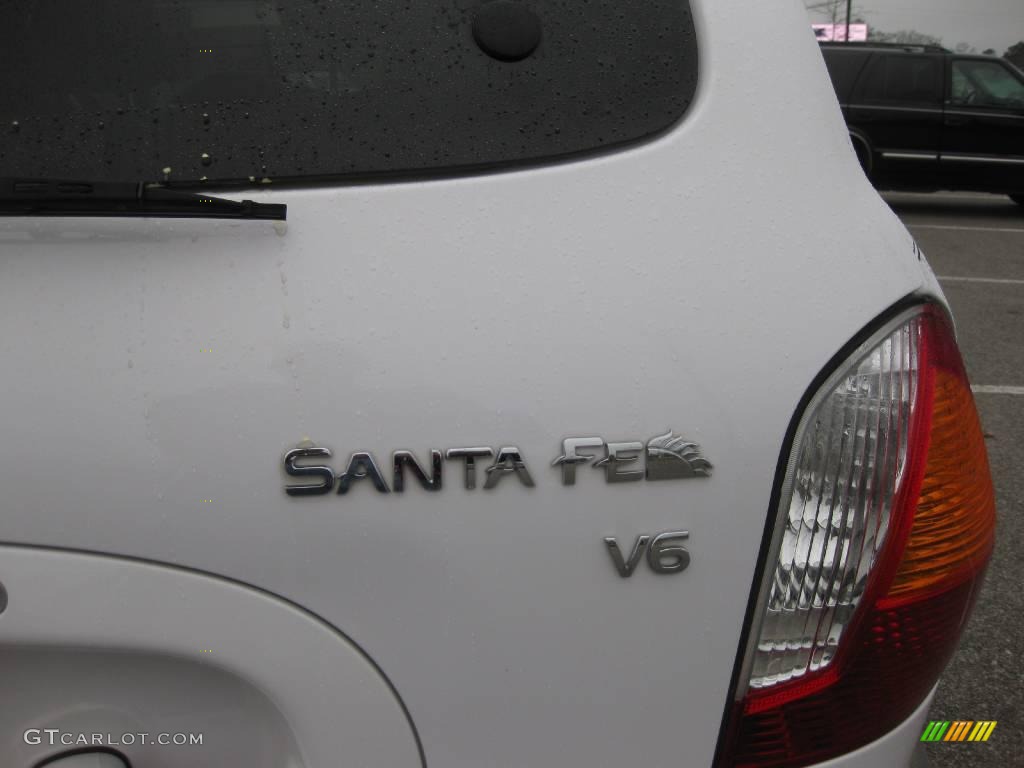 2004 Santa Fe GLS - Nordic White / Gray photo #26