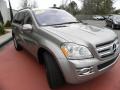 Pewter Metallic - GL 450 Photo No. 2