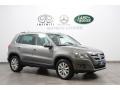 2009 Alpine Grey Metallic Volkswagen Tiguan SE 4Motion  photo #1