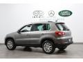 Alpine Grey Metallic - Tiguan SE 4Motion Photo No. 5