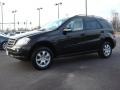 Black - ML 350 4Matic Photo No. 2
