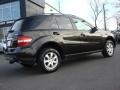 Black - ML 350 4Matic Photo No. 4