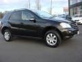 Black - ML 350 4Matic Photo No. 6
