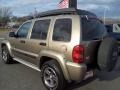 Light Khaki Metallic - Liberty Renegade Photo No. 2