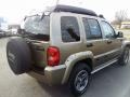 Light Khaki Metallic - Liberty Renegade Photo No. 4