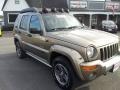 Light Khaki Metallic - Liberty Renegade Photo No. 6